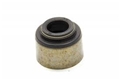 Seal, Vlv Stem Oil 10212810