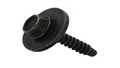Screw Asm 11570498