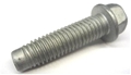 Bolt, Timing Cover 11589236