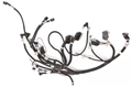 Ecm Wire Harness, Ram Jet 350 12489492