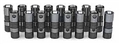 Gen Iii Camshaft Lifter Kit 12499225