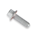 Bolt 12556127