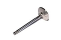 Stock Intake Replacement Titanium Valve For Ls9 Engines 12605524