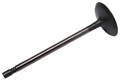 Valve, Intake 12673986