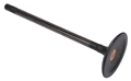 Valve, Exhaust 12708734
