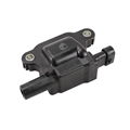 Coil Asm, Ing (Flat type) 12723610