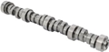 Camshaft Steel Roller 19210721