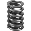 Valve Spring 19418908