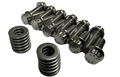 ARP LT 12pt Stainless Header Bolts & Washers Gen V LT (Polished) 26-1064