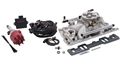 Fuel Injection, Pro-Flo 4 35780
