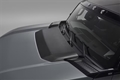Carbon Fiber Hood Insert Kit 86532568