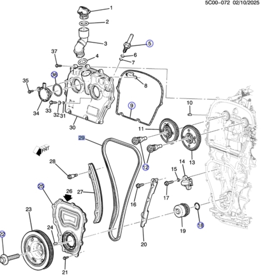 Timing Chain Components