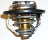Ecotec Thermostat 12622410