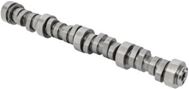 Camshaft Steel Roller 24502611