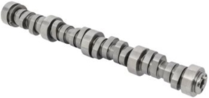 Camshaft Steel Roller 24502611