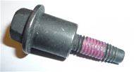 Ecotec Timing Chain Guide Bolt 11588522