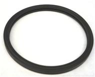 Seal,Eng Cool Therm(O Ring) 3522676