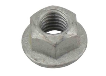 Nut 11546364