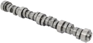 Camshaft Steel Roller 12366543
