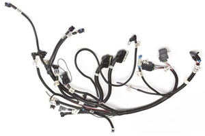 Ecm Wire Harness, Ram Jet 350 12489492