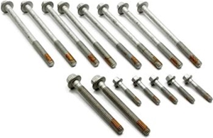 Cylinder Head Bolt Kit (1997-2004) 12498545