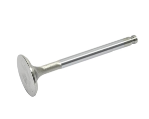 Valve-Exh 12618110