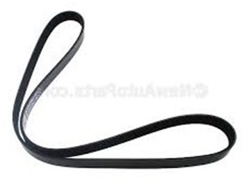 Belt 12634319