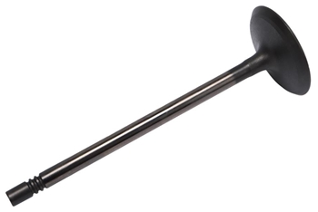 Valve, Intake 12673986