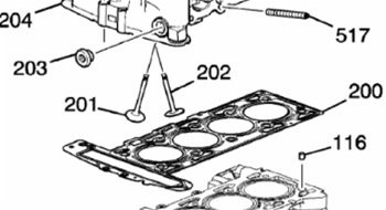 Ecotec LNF Intake Valve 55563529