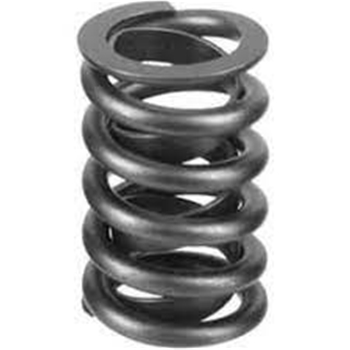 Valve Spring 14097002