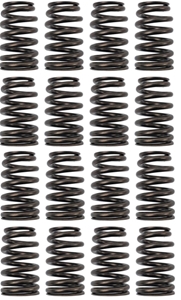 Valve Spring Kit 19420455