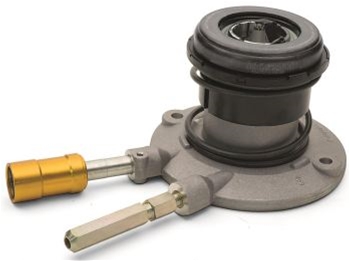 Cylinder 24264182