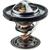 Thermostat, MotoRad 160 deg 523-160